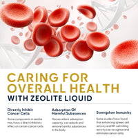 Anogol Zeolite Detox for Adults, Gentle Heavy Metal Detox, 60 ml Zeolite Drops with Chlorella, Methyl Vitamins B12 and D3, Boosting Energy and Focus, Supports Digestive and Immune Health, N1