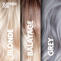 PROVOKE Go Ashy Conditioner 200ml, Remove Brassiness & Adds Silvery Tone to Hair, Formulated with Triple Toning Technology, Turn Warm & Brassy Hair to Cool & Ashy