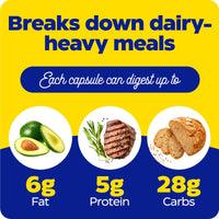 Enzymedica ENZYMEDICA - Lacto (30 Capsules) | Food Intolerance Digestive Enzymes Supplements | Maximum Lactose Digestive Enzymes Blend for Dairy Intolerance, Nutrient Supplements, Gut Health Supplement, Vegan