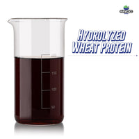 MYOC Myoc Hydrolyzed wheat protein – Liquid – 50g | 2 FL OZ | For Skin, Hair & Sensitive Skin- Deep Hair Protection | Hair- care Products | Cosmetic Grade