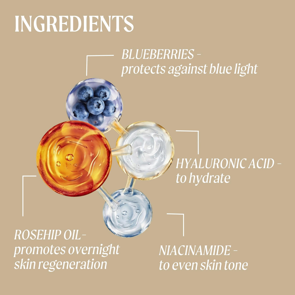 UPCIRCLE UpCircle Night Cream with Hyaluronic Acid + Niacinamide 55ml - Nourishing and Unscented for Sensitive Skin Anti-Ageing Properties - Vegan Cruelty-Free