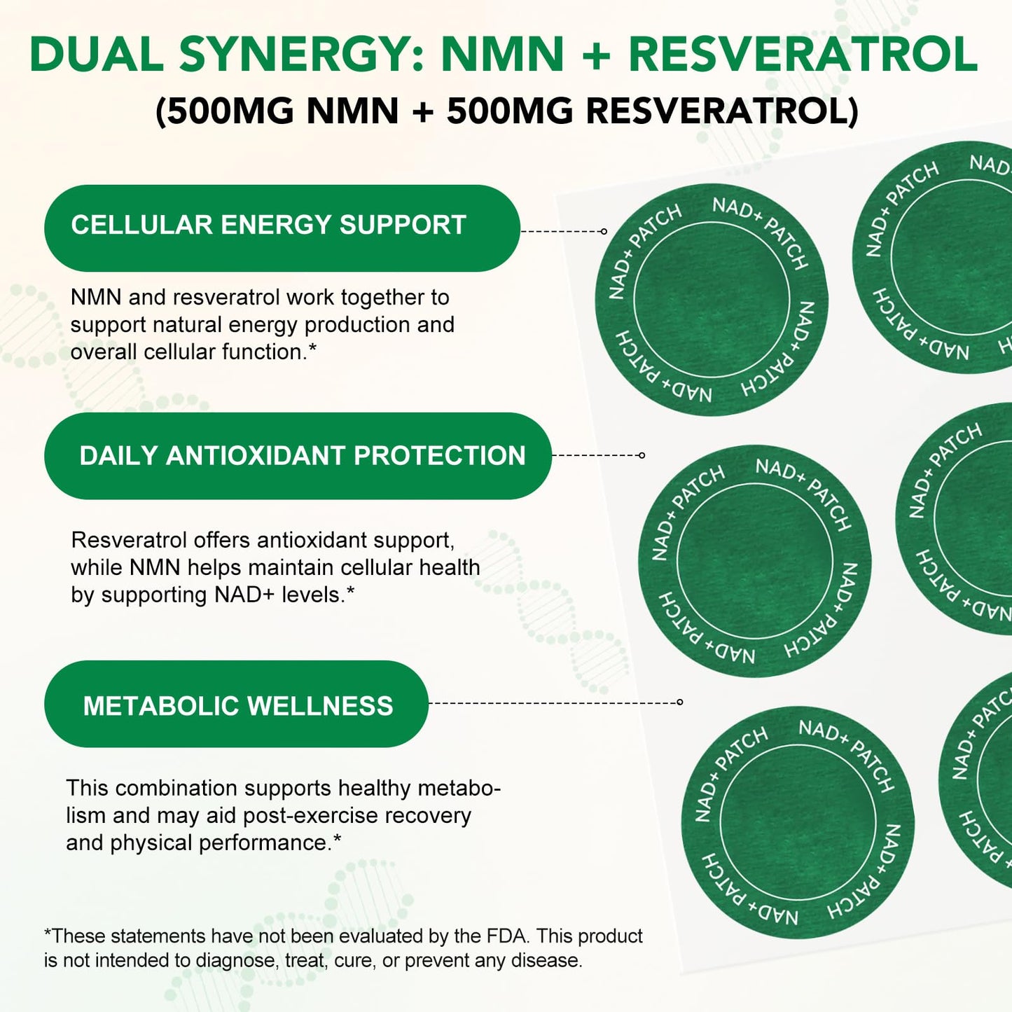 XAYGHE NAD+ Patches - Cell Regeneration Support - Botanical Plant-Based Formula with Resveratrol & Lion's Mane - 30 Vegan Patches