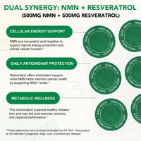 XAYGHE NAD+ Patches - Cell Regeneration Support - Botanical Plant-Based Formula with Resveratrol & Lion's Mane - 30 Vegan Patches