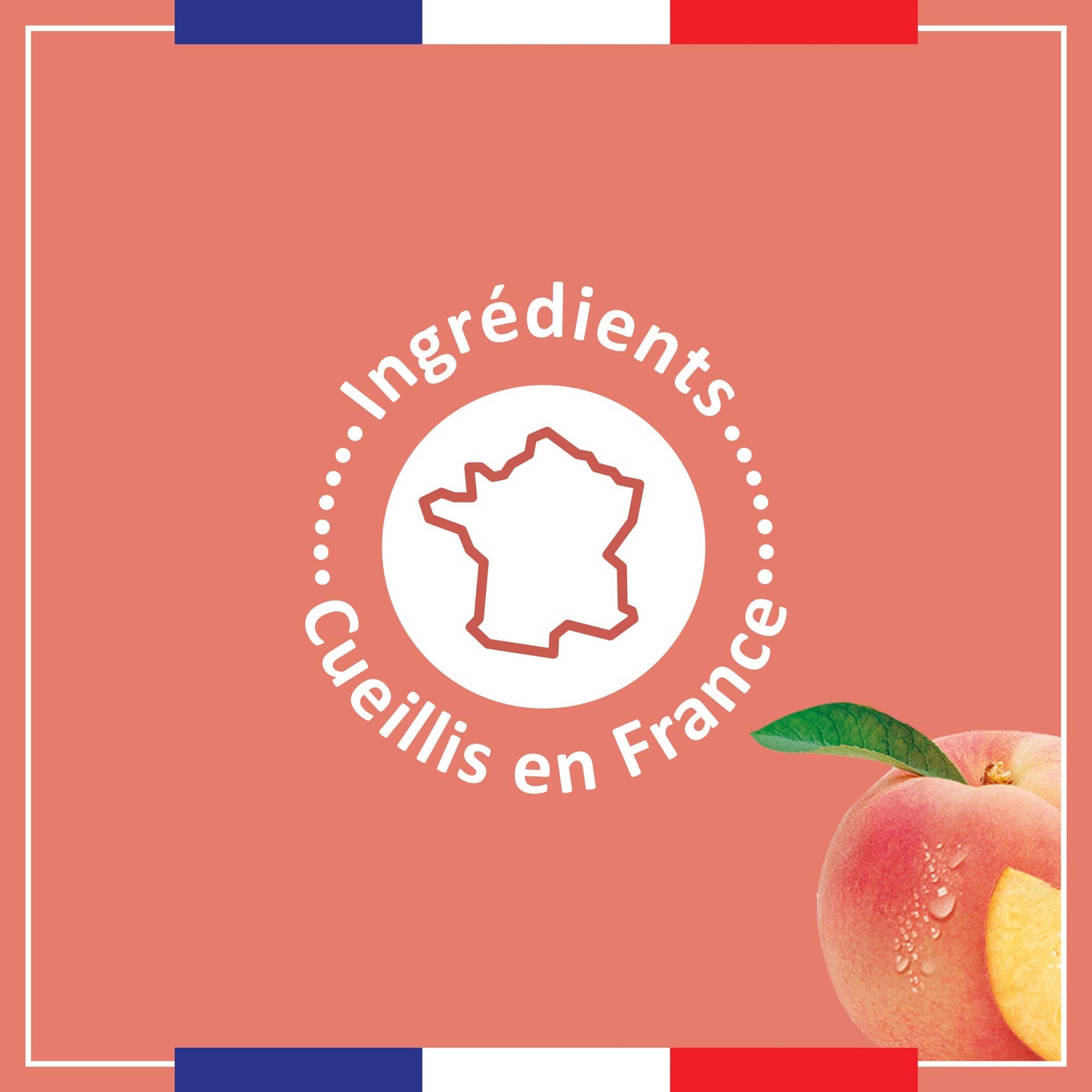 Le Petit Marseillais Extra-Genle Shower Gel Organic White Peach Organic Nectarine 250ml