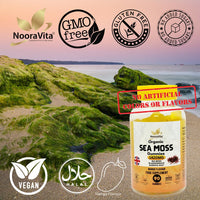 NooraVita Supplements & Skincare NooraVita Organic Sea Moss Gummies, 1420mg with Bladderwrack and Burdock Root, 90 Mango Flavour Gummies