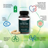 DOYCH Potent Cordyceps Mushroom Capsules 1400 mg Performance Booster - Bioactive Cordyceps Sinensis Extract with 40% Polysaccharides & Beta Glucan - 60 Organic Mushroom Capsules by Doych