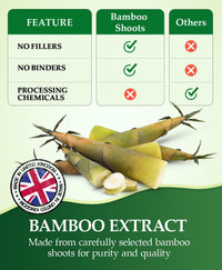 vegishake Organic Silica Extract 10:1| High Strength Naturally Sourced Silica Supplement | for Skin Health and Mobility | Vegan Capsules | from Bamboo Extract | UK Made (100G)