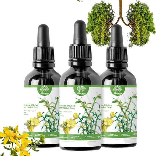 ChicNana Mullein Leaf Extract For Lungs, Clearbreath Dendrobium & Mullein Extract Mullein Drops Lung Cleanse Powerful Lung Support Cleanse Respiratory Herbal Body Care Essence, Clear Breath (30ml *3)