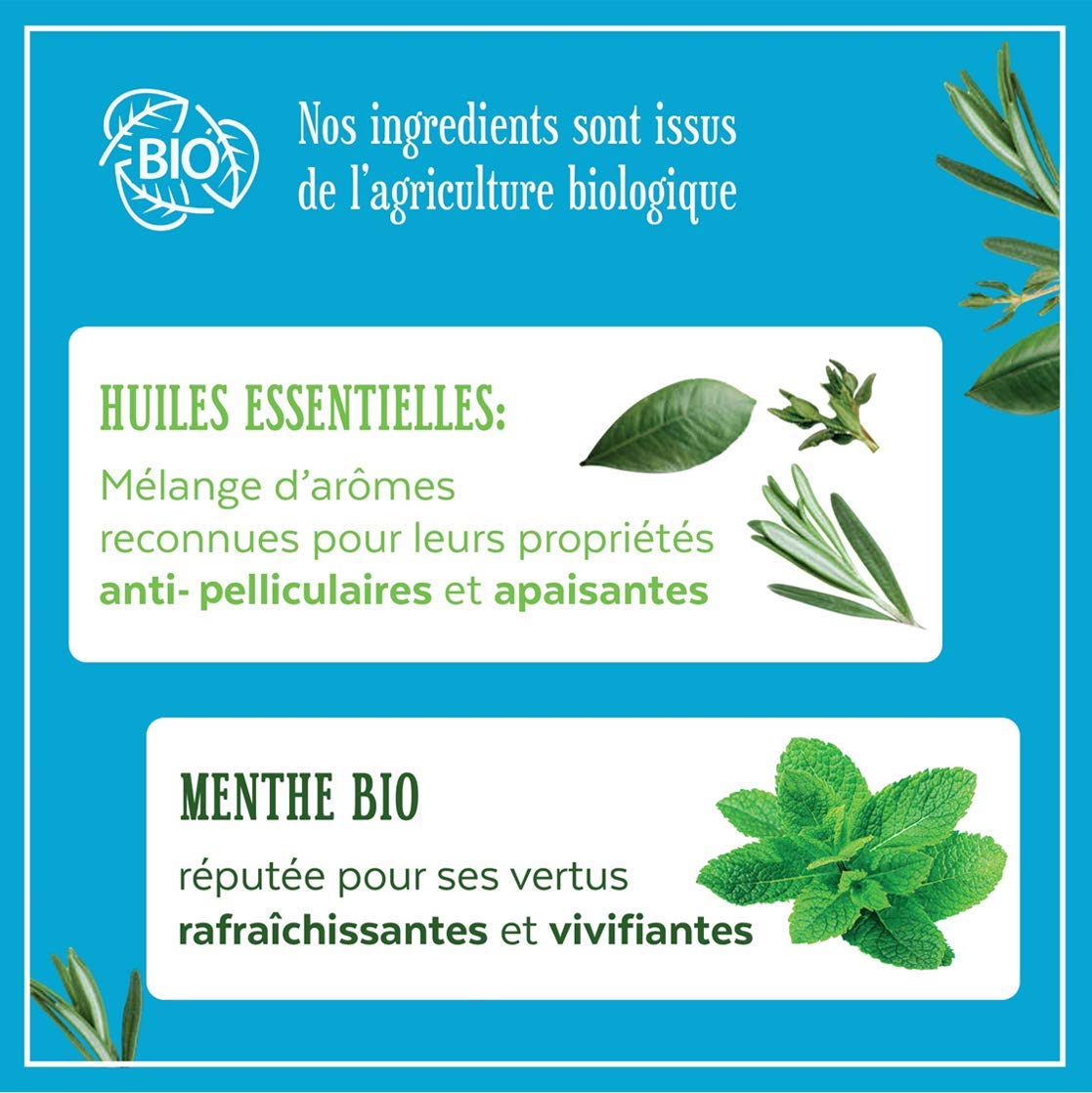 Le Petit Marseillais 2-in-1 Shampoo Anti-Dandruff Mint Organic and Essential Oils 250ml