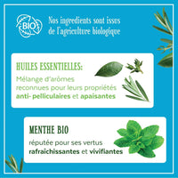 Le Petit Marseillais 2-in-1 Shampoo Anti-Dandruff Mint Organic and Essential Oils 250ml