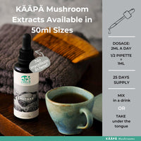 KAAPA Mushrooms KAAPA MUSHROOMS - Shiitake Mushroom Extract Tincture - Potent Ultrasonic Extraction | High Potency Mushroom Supplement for Immunity & Wellbeing | Grown in Finland - 50ml
