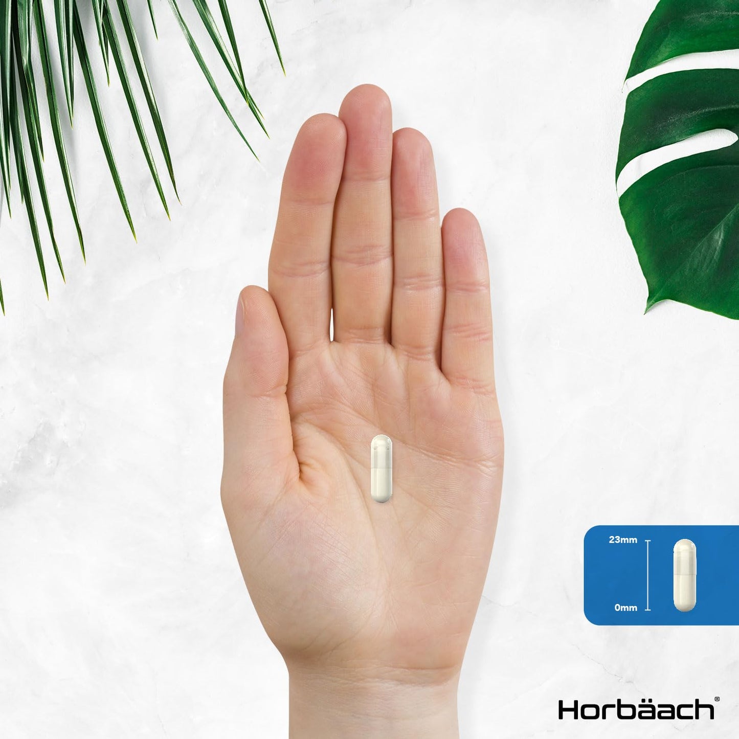 Magnesium Glycinate Supplements 2500mg | 3-in-1 Complex | 523mg Elemental Magnesium | Magnesium Bisglycinate, Malate & Citrate Triple Blend | 90 Vegan Capsules | by Horbaach