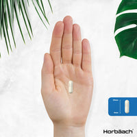 Magnesium Glycinate Supplements 2500mg | 3-in-1 Complex | 523mg Elemental Magnesium | Magnesium Bisglycinate, Malate & Citrate Triple Blend | 90 Vegan Capsules | by Horbaach