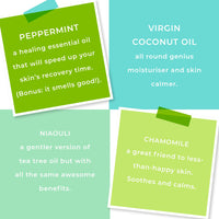 Spots & Stripes - Teenage Spot Treatment Boys, 100% Natural Skincare, Multi-Purpose Spot Zapper, Lip Balm and Skin Rescue for Tweens in One Genius Stick, with Niaouli, Coconut and Myrrh (15g)