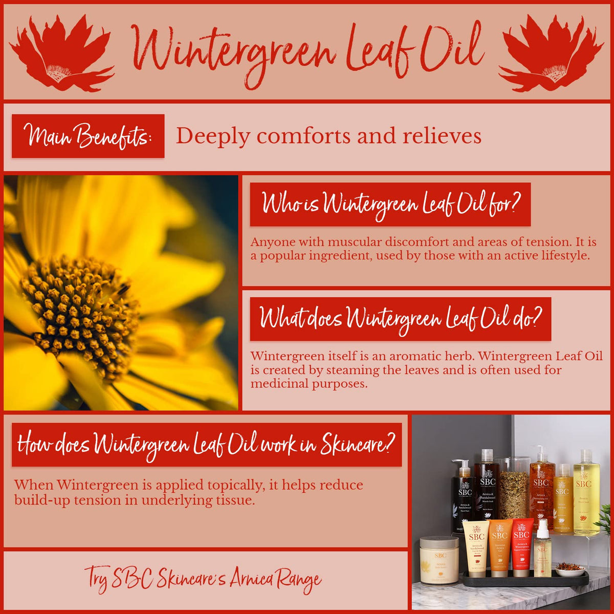 SBC Skincare Arnica & Wintergreen Targeted Thermal Rub 100ml - Warming Cream for Muscle Tension Relief