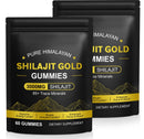 Tiuedu Shilajit Gummies for Men & Women, 2 Pack Pure & Natural Himalayan Gold Shilajit Gummy Energy Boost & Immune Support- Gluten Free