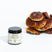 Hirsch Organic Reishi High Strength Extract Powder - Organically Grown in The EU - Non-GMO - No Added Fillers