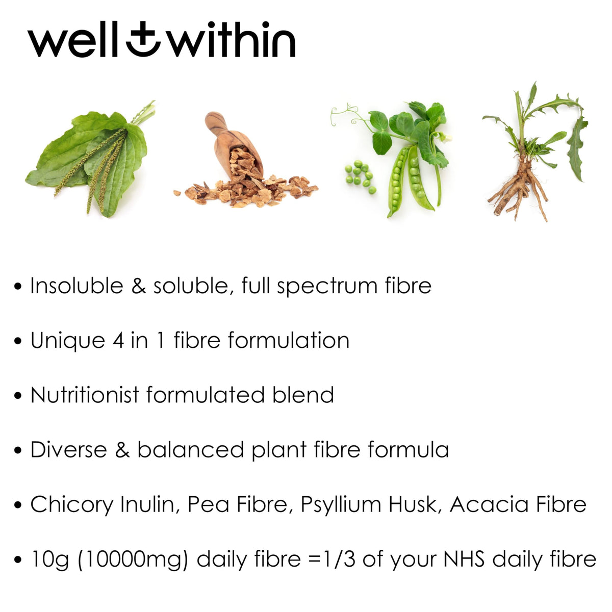 10g Fibre Supplement Powder, 1/3 NHS Daily Intake, 4in1 Insoluble & Soluble Fibre Powder (200g Bag, 30 x 5g Fiber) 4 Types of Fiber. Well Within. for Men, Women & Kids