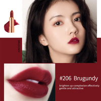 Newvenper Matte Lipstick Set 3 Colors Lip Stick with Chain Bag Package Velvet Lip stick Gift Box Set Waterproof Non-Stick Cup Long Lasting Retractable Lipstick Set 3.5gx3 Pcs, Silver
