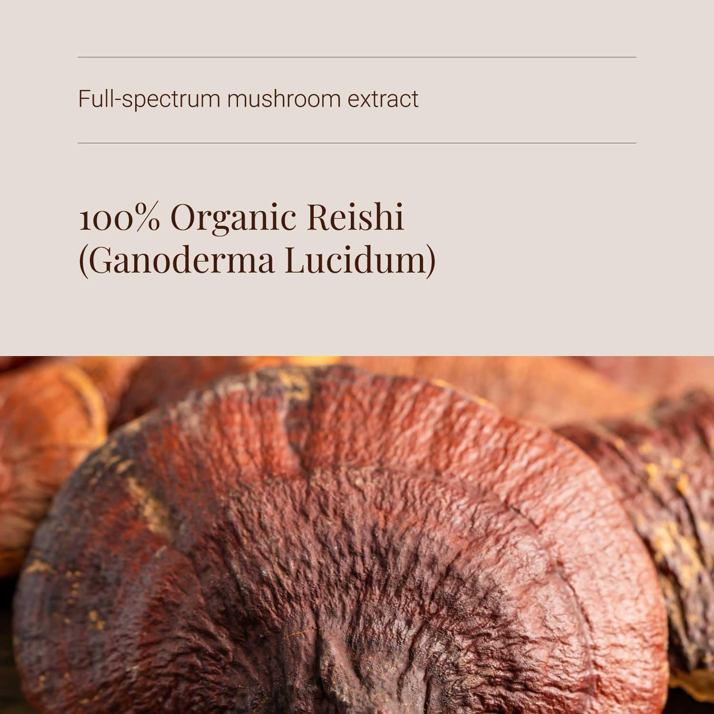 KIKI HEALTH KIKI Health - Organic Reishi, Mushroom Extract Powder - Standardised to 30% Polysaccharides - Made from 100% Fruiting Bodies - Natural, Nutrient-Dense Extract - 50g
