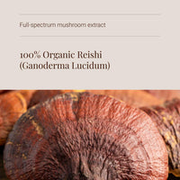 KIKI HEALTH KIKI Health - Organic Reishi, Mushroom Extract Powder - Standardised to 30% Polysaccharides - Made from 100% Fruiting Bodies - Natural, Nutrient-Dense Extract - 50g