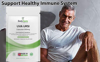 Bodygenix UVA Ursi Capsules - 500mg High Antioxidant Formula Immune System Joints Urinary Infections Digestive Health Support Natural Vegan Supplement - 30 Caps 1 Month Supply