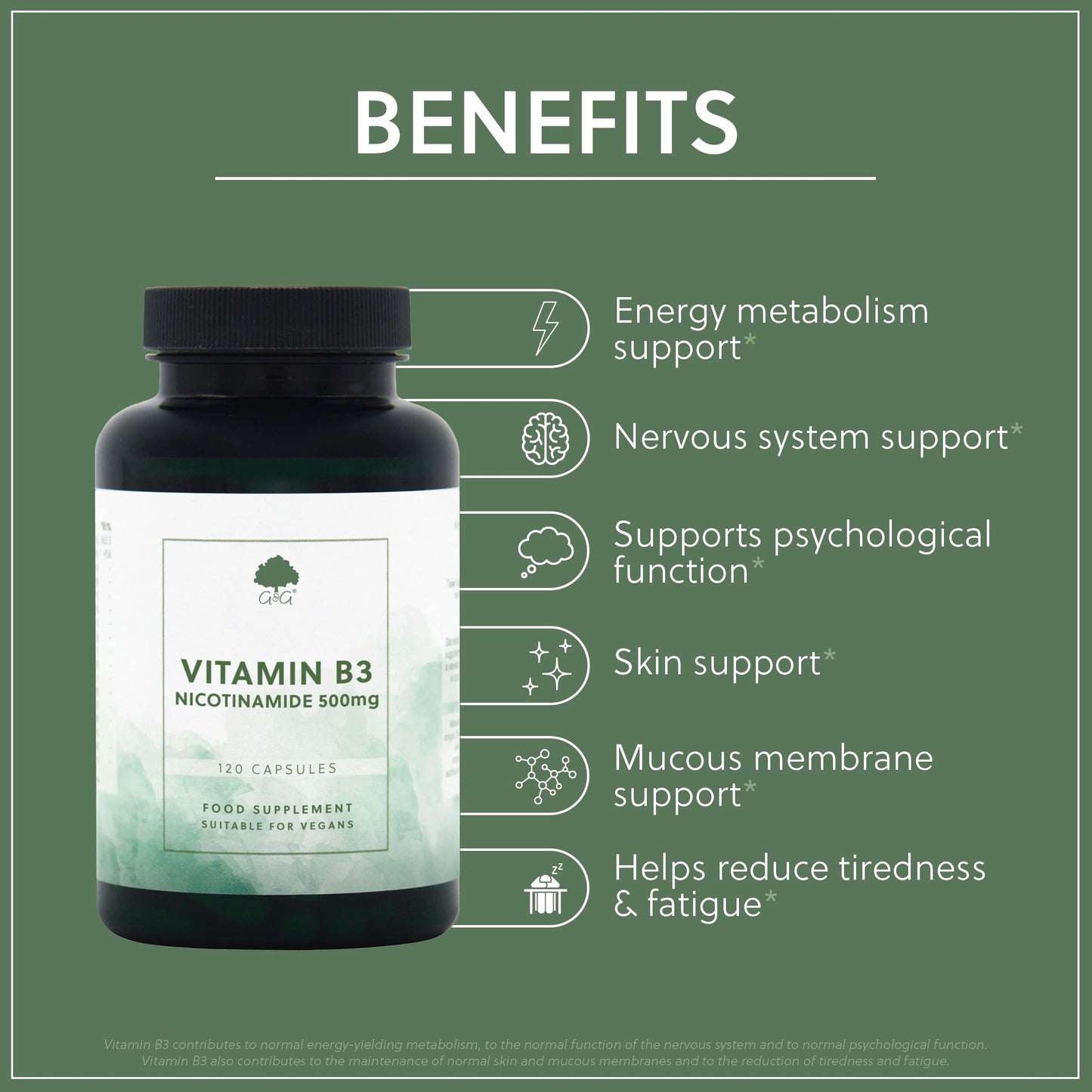 Vitamin B3 (Nicotinamide) 500mg - High Strength, Non-Flush, 120 Vegan Capsules - Non-GMO, Made in the UK - G&G Vitamins