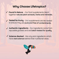 Lifetropics Pure Berberine - 500mg Berberine HCL Supplement - Lab Tested Authentic - Vegan Friendly - 60 Plant-Based Pullulan Capsules