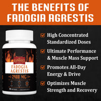 Rapsdayci Fadogia Agrestis 2400mg High Potent 50:1 Ratio Extract Powerful Fadogia Agrestis Supplement, Supports Stamina, Strength, Muscle Health & Recovery, Drive & Performance 60 Count (Pack of 1)