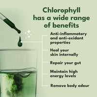 Four Leaf Farmacy Liquid Chlorophyll Drops for Water - British-Grown Chlorophyll - High Strength Chlorophyll Liquid 6000mg - Made in UK - 2 Month Supply