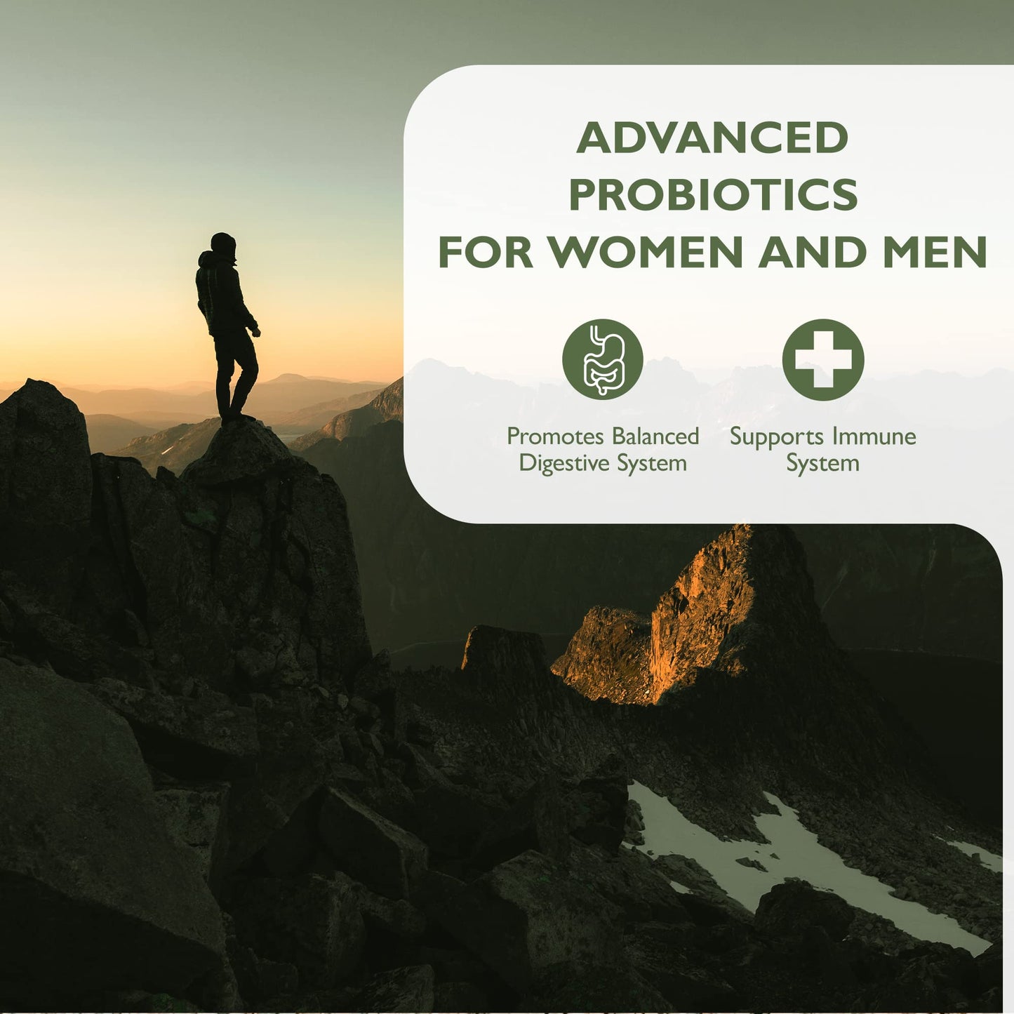 Barefoot Nutrition - Advanced Live Culture Formula, With 11 Key Strains at 50 Billion CFU per Capsule, High Strength Probiotic Supplement, Supports Gut Health, 60 Vegan Capsules