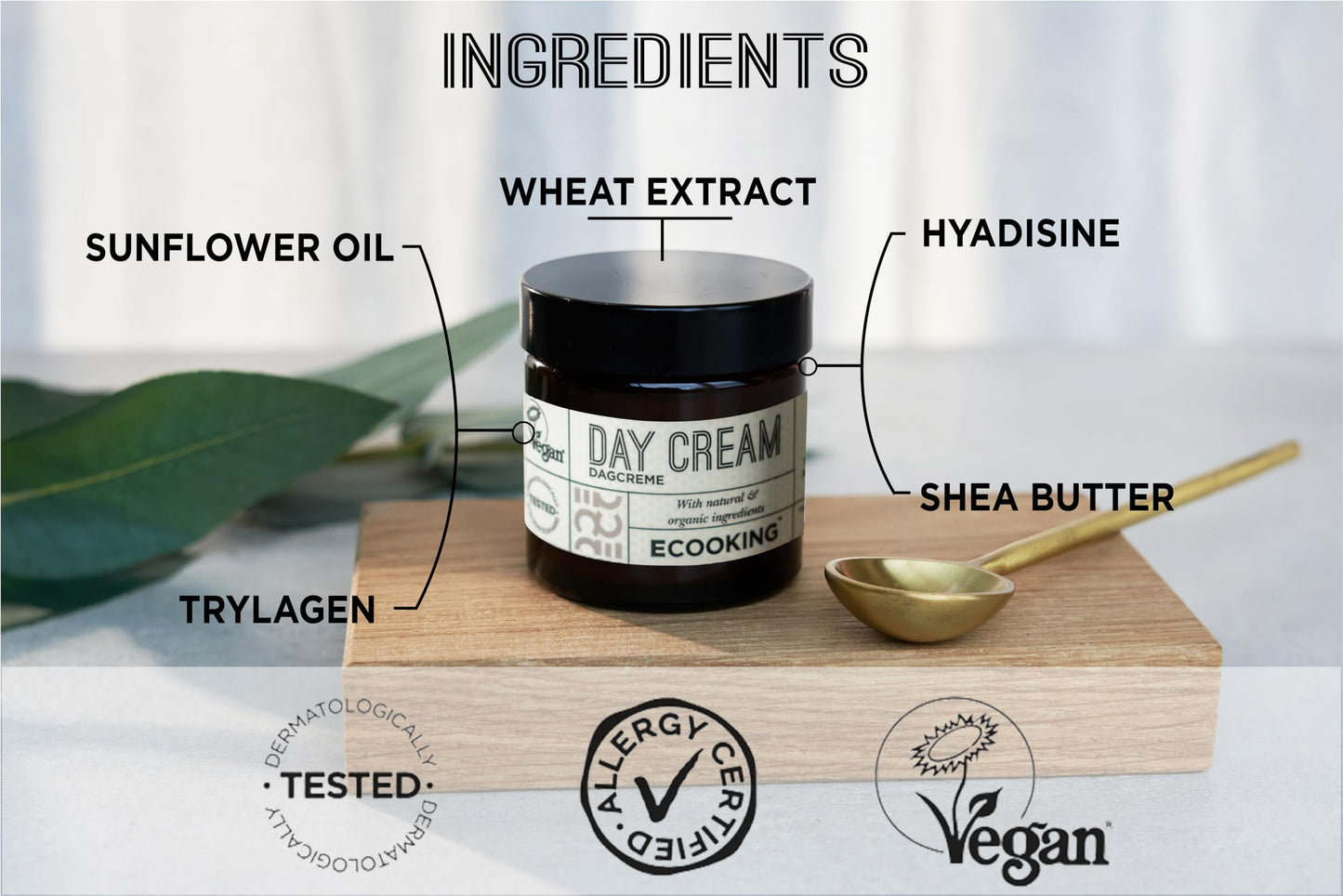 Ecooking Hydrating & Moisturising Day Cream 50ml with Hyaluronic Acid & Vitamin E | Anti Aging Face Cream | Nourishing Skincare with Natural & Organic ingredients