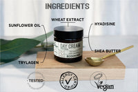 Ecooking Hydrating & Moisturising Day Cream 50ml with Hyaluronic Acid & Vitamin E | Anti Aging Face Cream | Nourishing Skincare with Natural & Organic ingredients