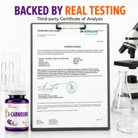 Hepatica L-Carnosine 500mg | Beta-Alanine & Histidine Dipeptide | 60 Vegan Capsules | 2-Month Supply | 3rd Party Lab Tested