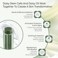DAISYFACE Brightening Face Exfoliator 30ml – Gentle Exfoliation with Daisy Stem Cells, Bamboo Powder & AHAs – For Smooth, Radiant Skin