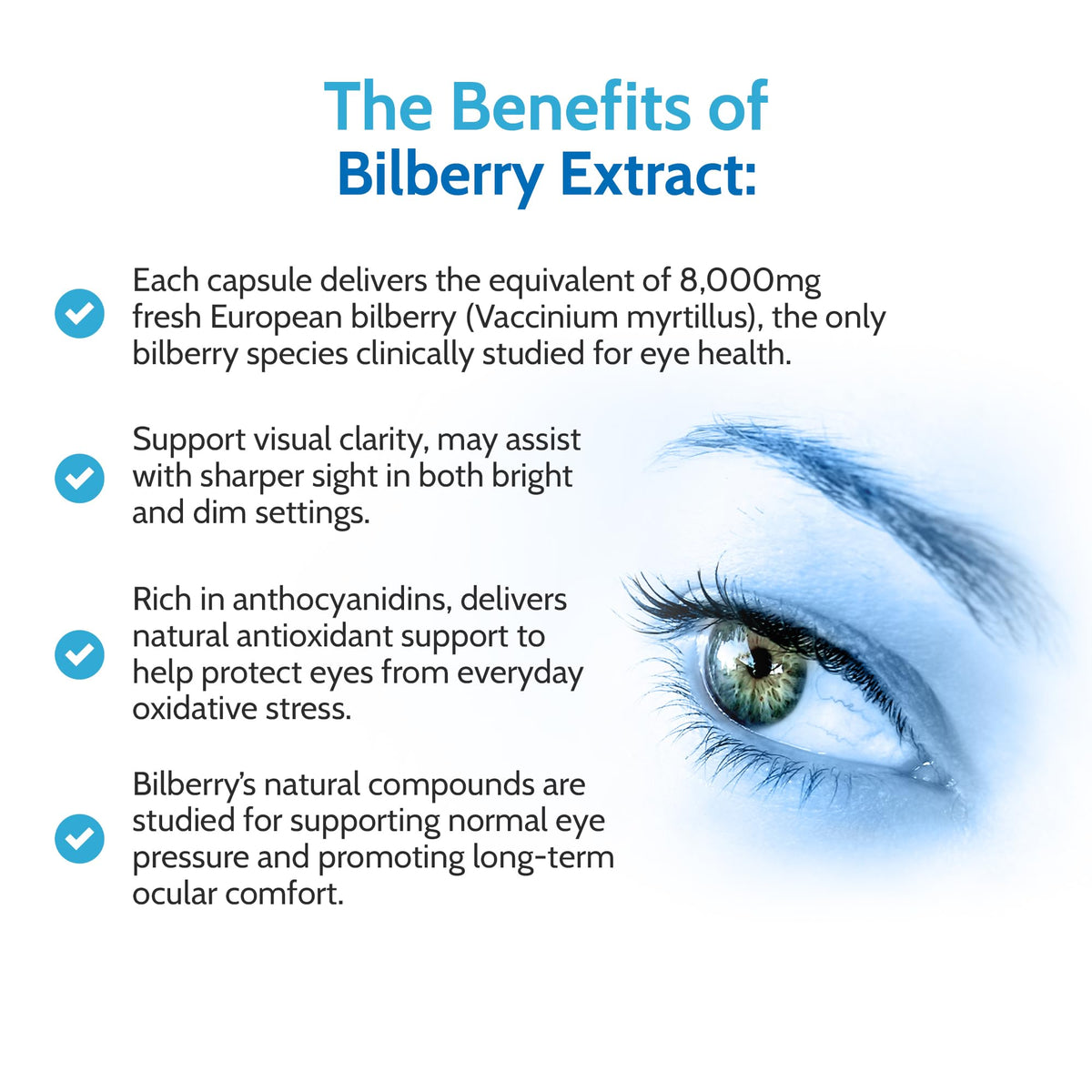 Health4All Bilberry Extract 8,000mg 120 Capsules, 4 Months Supply, Eye Health