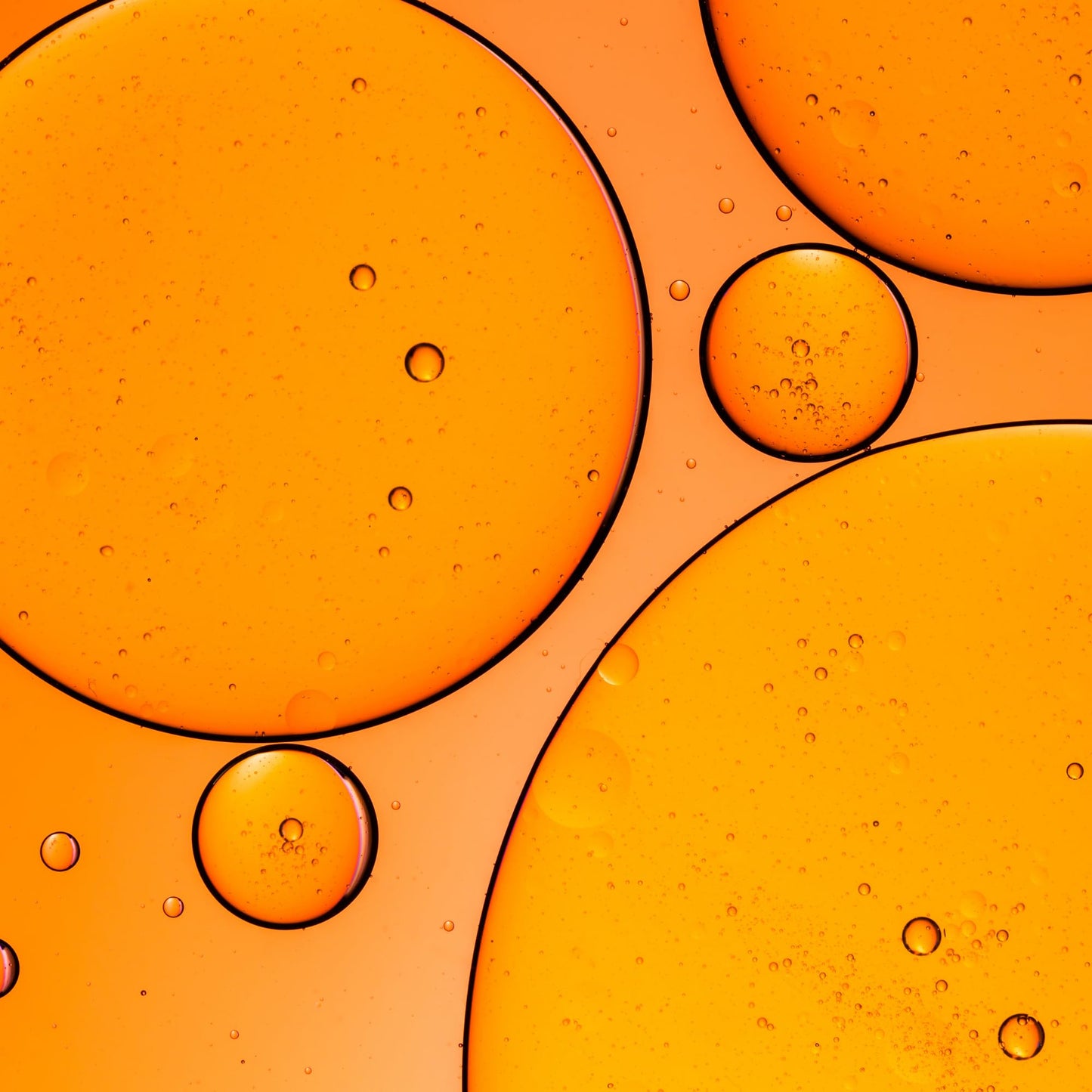 Urban Veda Oat Lipid Booster Oil| Brighten skin & reduces inflammation| Azelaic Acid Face Oil with Retinol |For All Skin types| Vitamin E oil with Squalene |COSMOS Certified & Clinically Proven| 15 ML