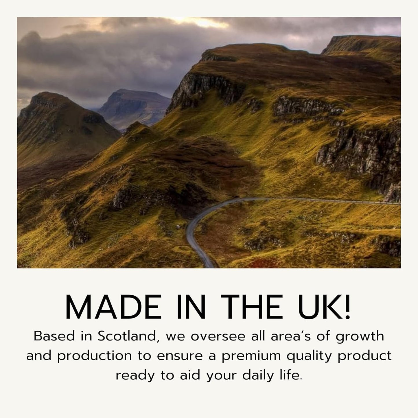 Love Mushrooms Lions Mane Mushroom Supplement, 15,000mg Tincture 30ml, Liquid Drops to Support Focus & Memory, Vegan, Made in The UK