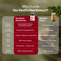 Hepatica Devil’s Claw 10:1 Extract – 5000mg Equivalent | 120 Vegan Capsules | High-Strength Joint & Anti-Inflammatory Support | Natural Aches & Mobility Relief Supplement | GMP & 3rd Party Lab Tested