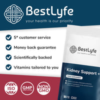 BestLyfe Your Health Is Our Priority BestLyfe Kidney Support+ Supplement | 14 Nutrients & Vitamins | Twin Pack | 120 Capsules | Liver Detox | Kidney Cleanse | Gallbladder and Spleen Support | Healthy Urinary Tract | UK Made
