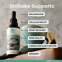 KAAPA Mushrooms KAAPA MUSHROOMS - Shiitake Mushroom Extract Tincture - Potent Ultrasonic Extraction | High Potency Mushroom Supplement for Immunity & Wellbeing | Grown in Finland - 50ml