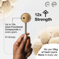 Andinn Organics Organic Lions Mane Mushroom Powder | 12X Strength | 3 Month Supply | Dual Extract Powder 23:1 | 6000mg | NGF | 1% Hericenones | 20% Polysaccharides