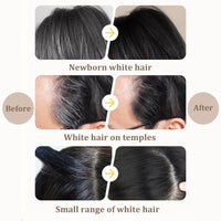 Safe & Convenient Hair Dye Comb - 2 in 1 Instant Black Hair Colour Stick with Comb - 2PCS Waterproof & Sweat-Proof Hair Dye Comb - Portable Hair Concealer, Grey Hair Cover Up for Women & Men