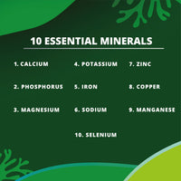 New Earth Organic Essentials Pure Moringa Capsules - Pure Moringa Oleifera Leaf Powder -180 Vegan Capsules