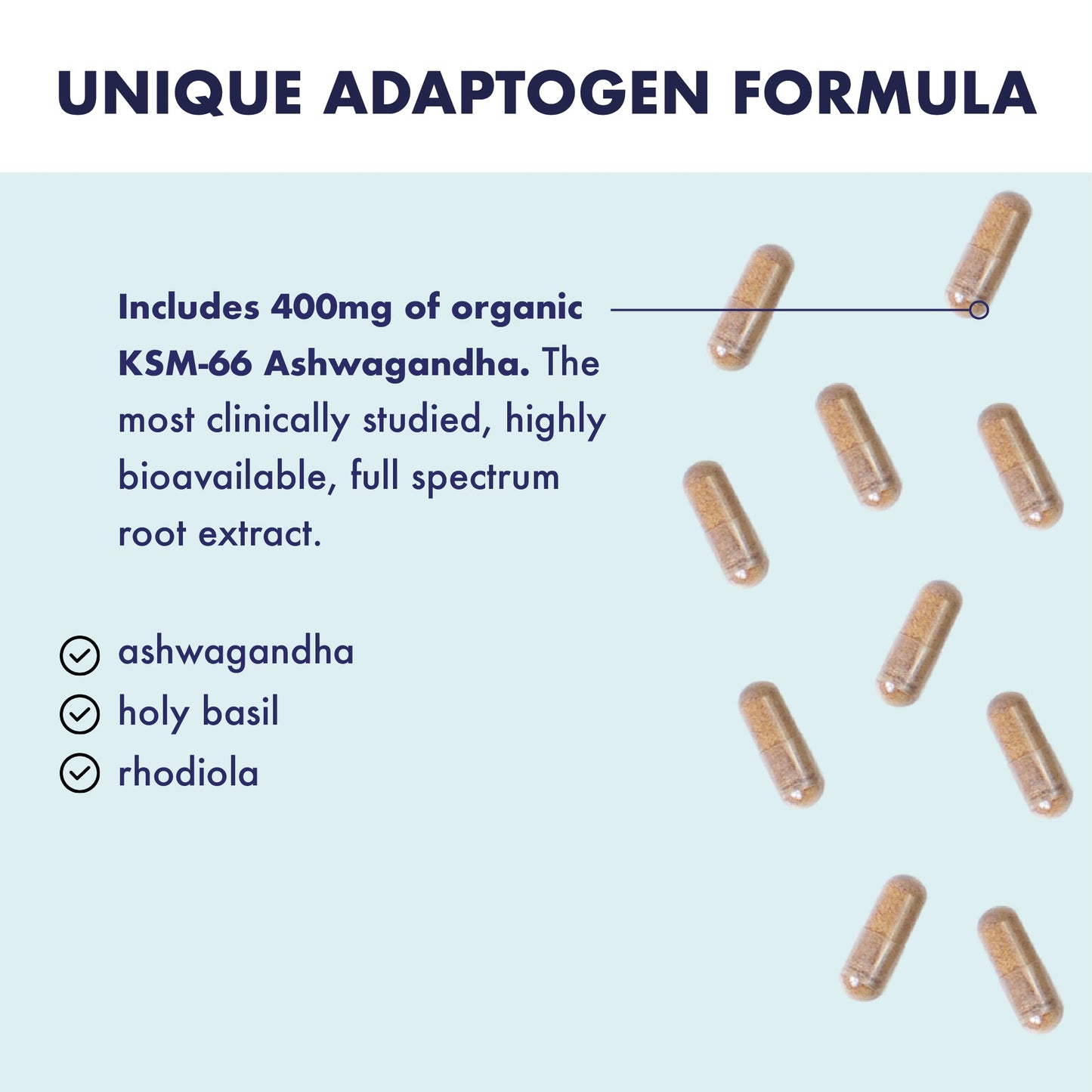 Higher Nature - Ashwagandha & Rhodiola Complex - Reduce Fatigue - Holy Basil Extract - Ashwagandha Capsules - Vegetarian & Vegan - 30 Capsules