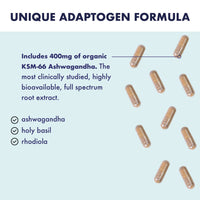 Higher Nature - Ashwagandha & Rhodiola Complex - Reduce Fatigue - Holy Basil Extract - Ashwagandha Capsules - Vegetarian & Vegan - 30 Capsules