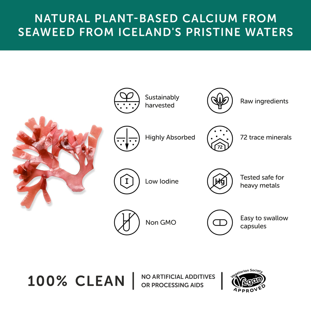 Calcium – Together Health – Seaweed-Based Calcium – 72 Trace Minerals – Vegan Friendly – Made in The UK – Pack of 2-120 Vegecaps