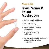 Lions Mane & Reishi Mushroom Capsules - High Strength 4000mg Lions Mane Supplement with Reishi - 120 Vegan Lions Mane Mushroom Powder + Reishi Mushroom Capsules - Made in UK by New Leaf