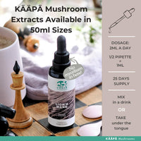 KAAPA Mushrooms KAAPA MUSHROOMS - Lion's Mane Mushroom Extract Tincture - Potent Ultrasonic Extraction | High Potency Lions Mane Supplement for Cognitive Function, Brain & Memory | Grown in Finland - 50ml