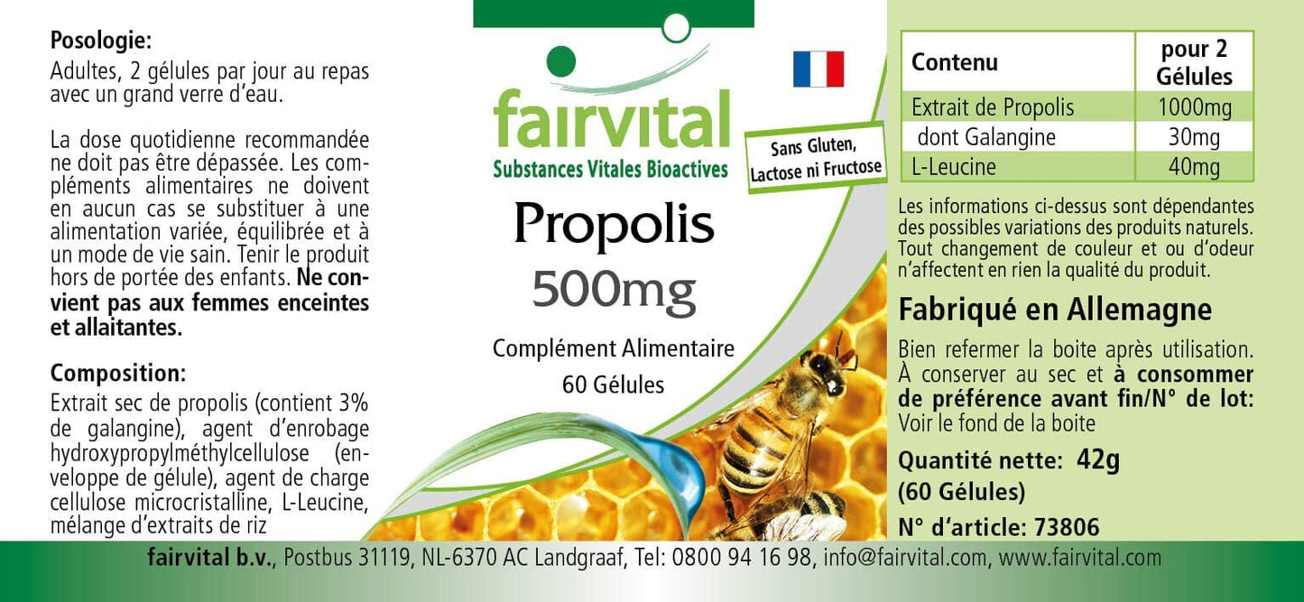Fairvital | Bee propolis capsules - 500mg - HIGH DOSAGE - 3 x 60 capsules